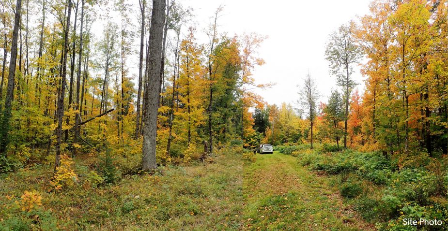 4_Site-Photo