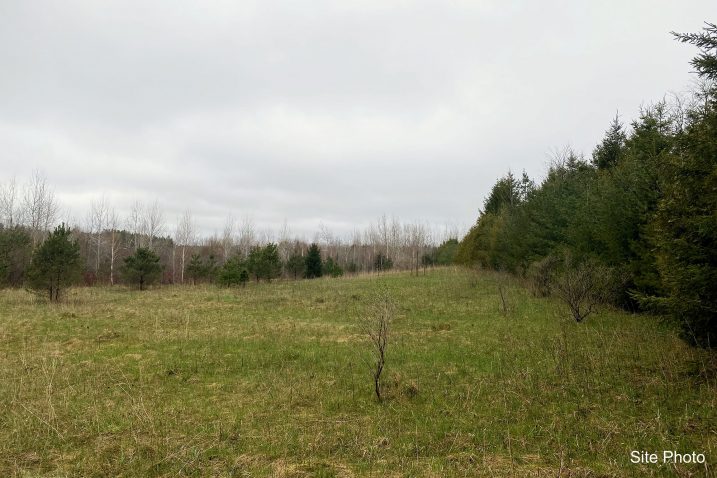 3_Site-Photo